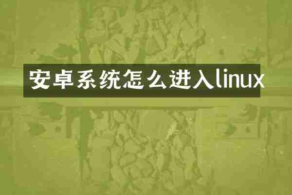 安卓系统怎么进入linux