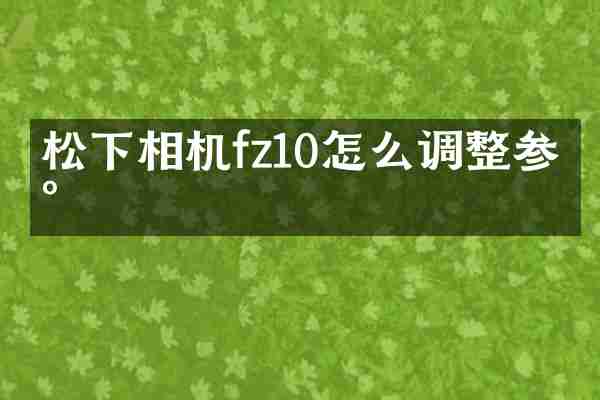 松下相机fz10怎么调整参数