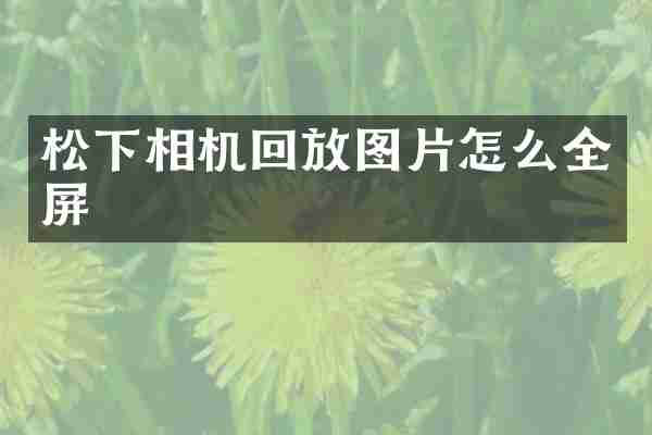 松下相机回放图片怎么全屏