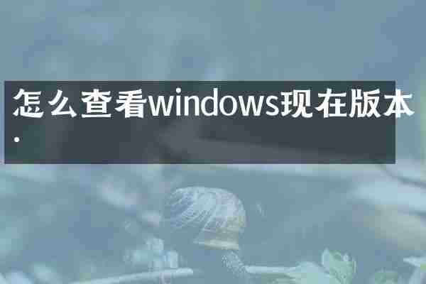 怎么查看windows现在版本号