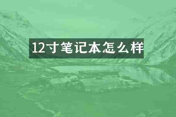 12寸笔记本怎么样