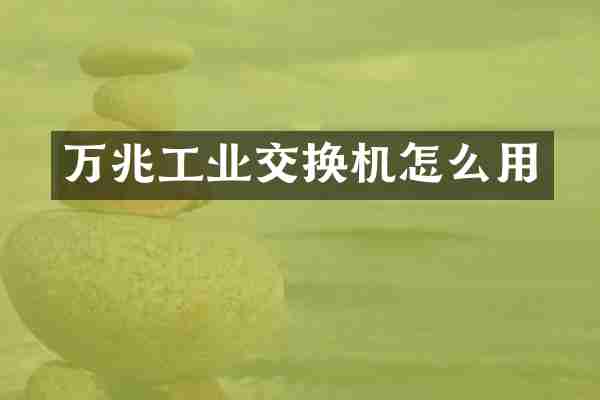 万兆工业交换机怎么用