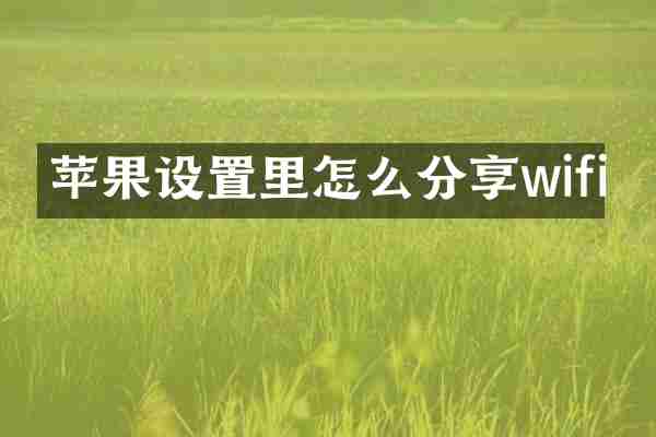 苹果设置里怎么分享wifi