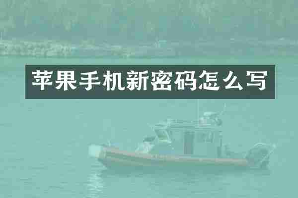 苹果手机新密码怎么写