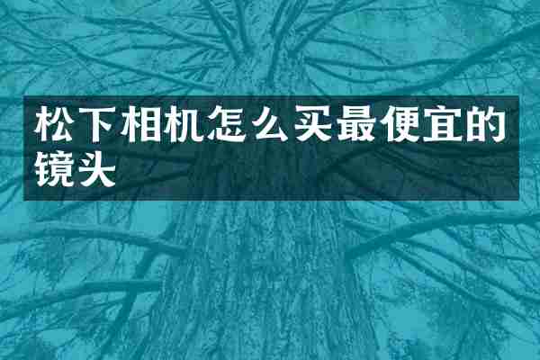 松下相机怎么买最便宜的镜头