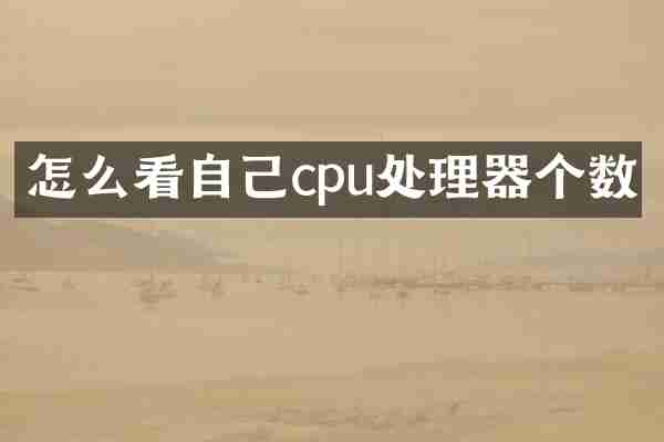 怎么看自己cpu处理器个数