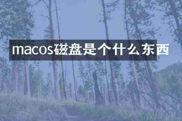 macos磁盘是个什么东西