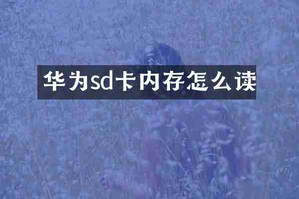 华为sd卡内存怎么读