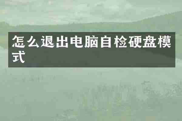 怎么退出电脑自检硬盘模式