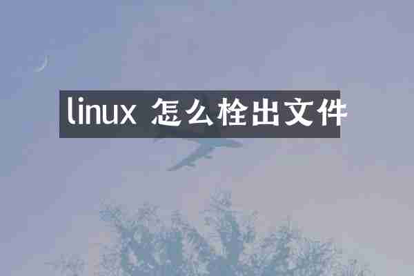 linux 怎么栓出文件