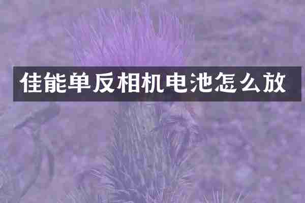佳能单反相机电池怎么放