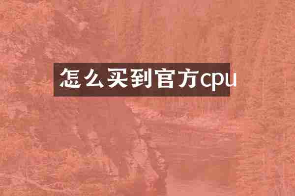 怎么买到官方cpu