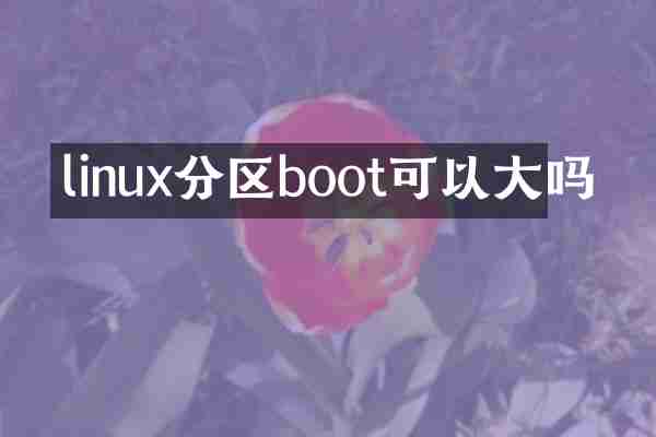 linux分区boot可以大吗