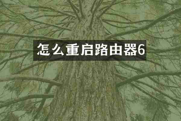 怎么重启路由器6