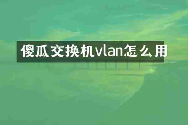 傻瓜交换机vlan怎么用