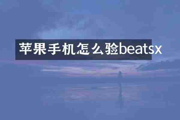 苹果手机怎么验beatsx