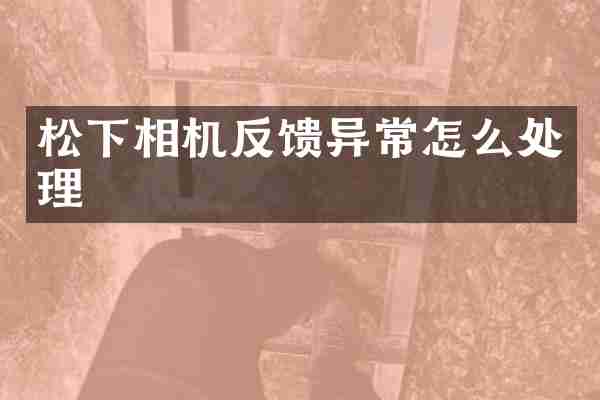 相机反馈异常怎么处理