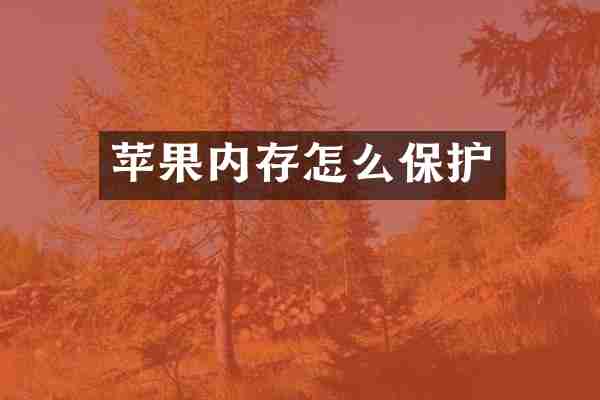 苹果内存怎么保护