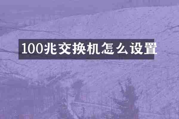 100兆交换机怎么设置