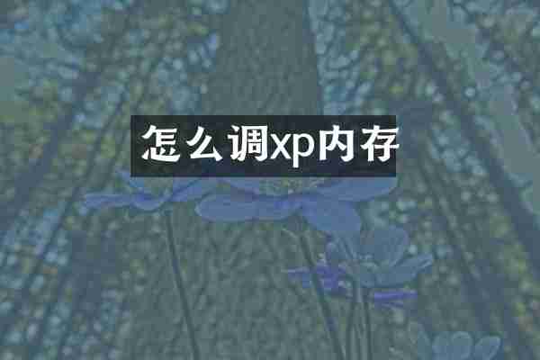 怎么调xp内存