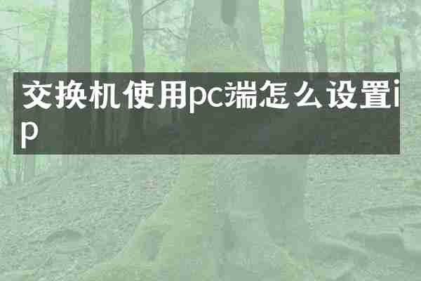 交换机使用pc端怎么设置ip