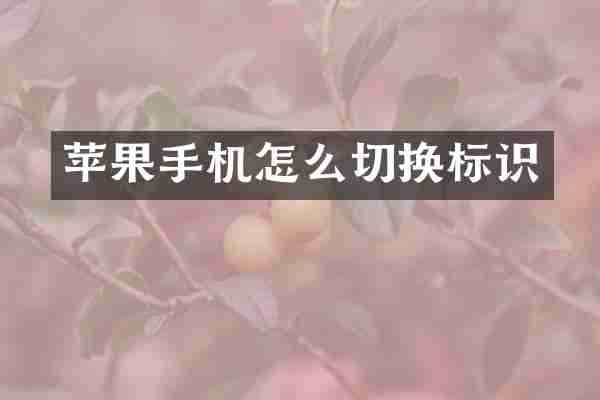 苹果手机怎么切换标识