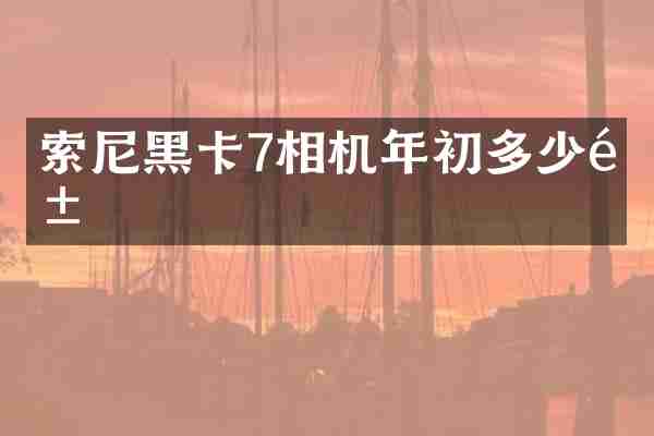 7相机年初多少钱