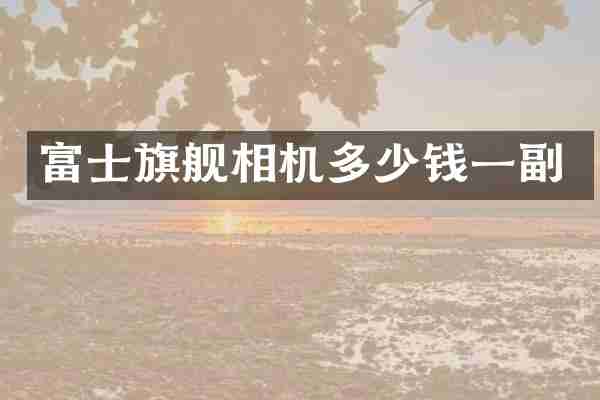 富士旗舰相机多少钱一副