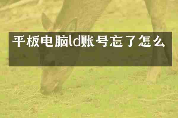 平板电脑ld账号忘了怎么办