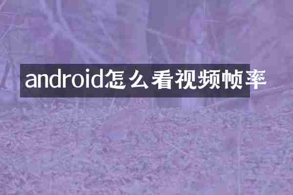 android怎么看视频帧率
