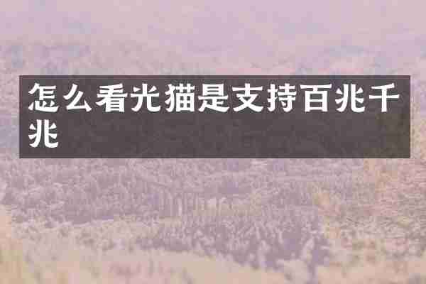 怎么看光猫是支持百兆千兆