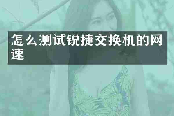 怎么测试锐捷交换机的网速