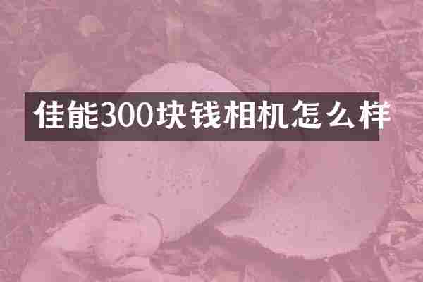佳能300块钱相机怎么样