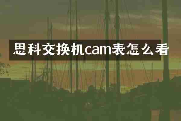 思科交换机cam表怎么看