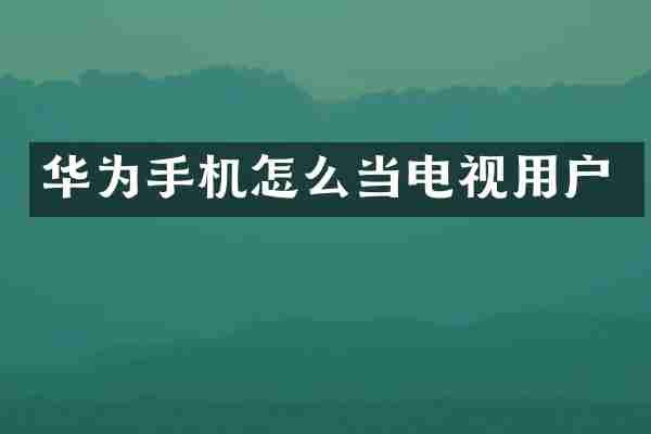 华为手机怎么当电视用户