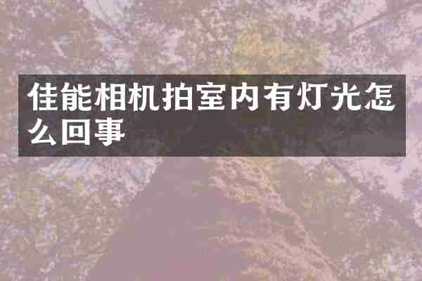 佳能相机拍室内有灯光怎么回事