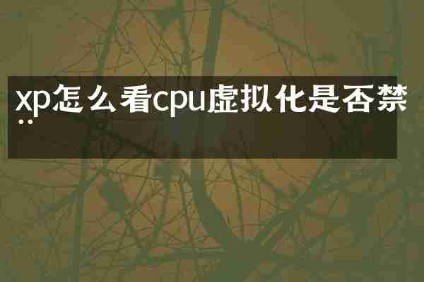 xp怎么看cpu虚拟化是否禁用