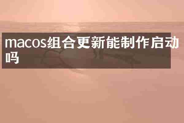 macos组合更新能制作启动盘吗