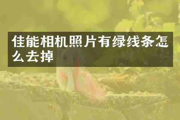 佳能相机照片有绿线条怎么去掉