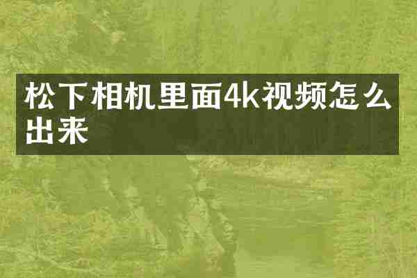 松下相机里面4k视频怎么导出来