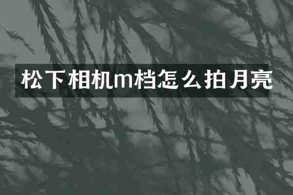 相机m档怎么拍月亮