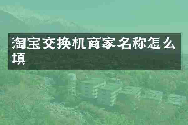 淘宝交换机商家名称怎么填