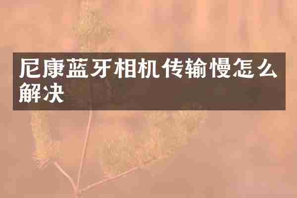 尼康蓝牙相机传输慢怎么解决