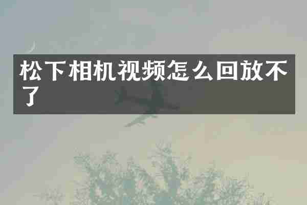 相机视频怎么回放不了
