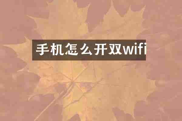 手机怎么开双wifi