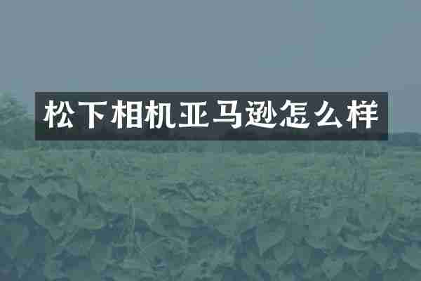 相机亚马逊怎么样