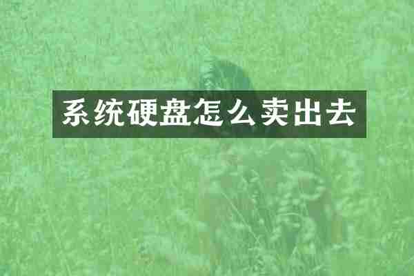 系统硬盘怎么卖出去