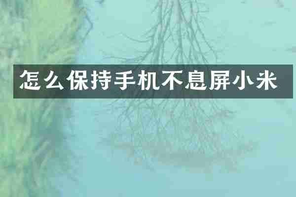 怎么保持手机不息屏小米
