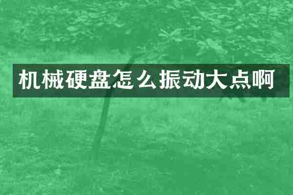 机械硬盘怎么振动大点啊