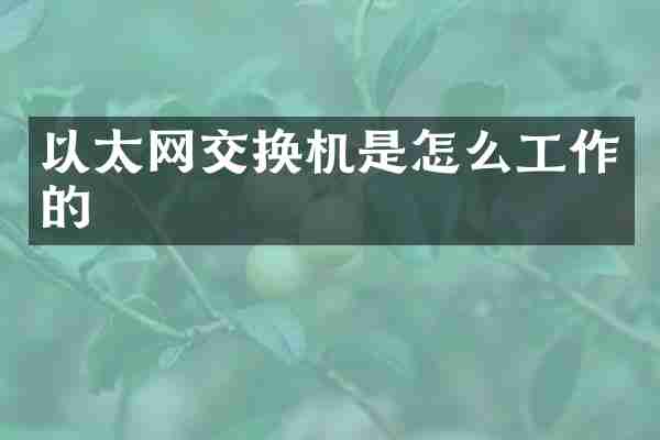 以太网交换机是怎么工作的
